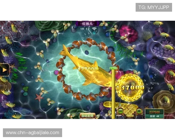 PA捕鱼网站常见问题解答解决你的使用疑难与操作难题