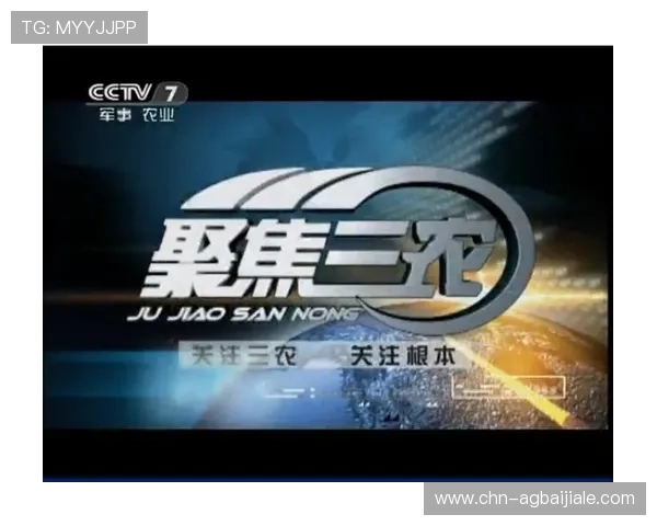 PA视讯网:聚焦影视行业创新发展与热点事件的深度报道平台 PA视讯网:聚焦影视行业创新发展与热点事件的深度报道平台