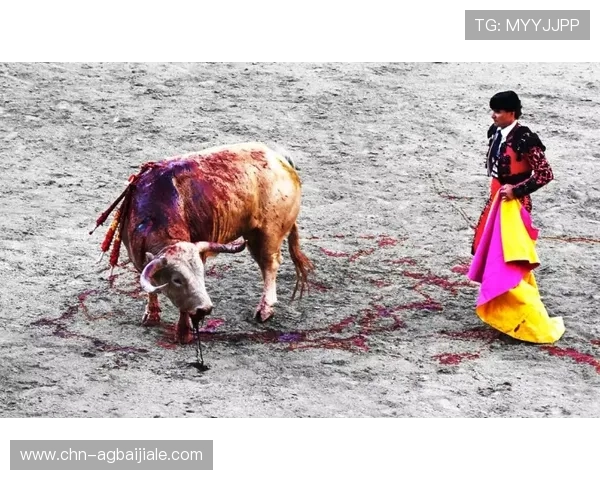 优质真人斗牛网址汇总让你随时随地享受高品质的斗牛游戏乐趣