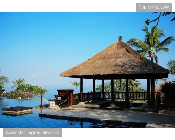 如何通过ag1024入口按钮实现快速登录与高效访问网站资源