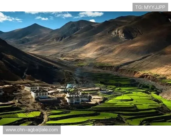 PA视讯中心在游戏行业中的应用场景与未来发展趋势分析，助力行业创新升级