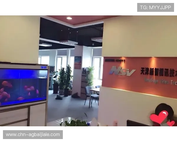 PA视讯集团的企业文化与管理模式对行业创新的积极推动作用